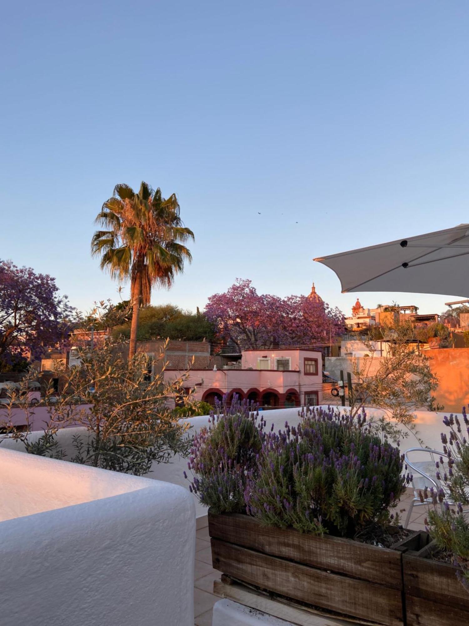 Casa Arbol Hotel San Miguel de Allende Exterior foto